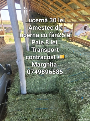 Lucerna fan si paie de vanzare 