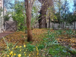 Popa Nan, vila  5 camere, 194 mp - imagine 8