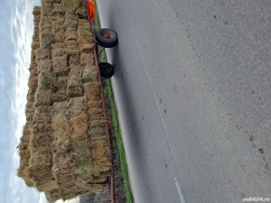 Platforma de baloti - imagine 3