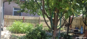 Vand casa Comuna Floresti, Jud.Giurgiu - imagine 5