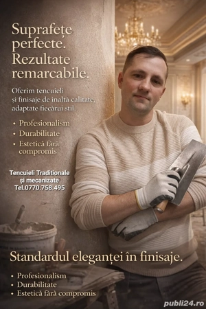 Tencuială tradițională Renovări