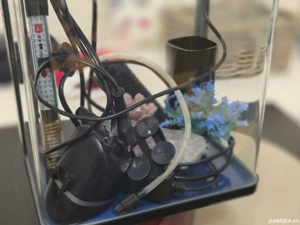 Acvariu Mic - imagine 5