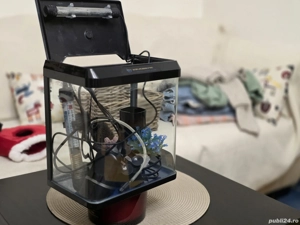 Acvariu Mic - imagine 3