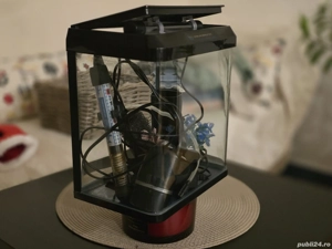 Acvariu Mic - imagine 4