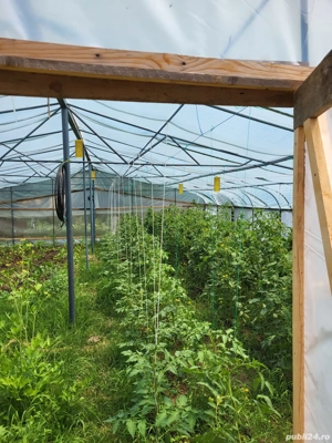 Casa P+M 5 camere + o garsoniera Sat  Prunaru  Jud Teleorman 50 km de Bucuresti  - imagine 7