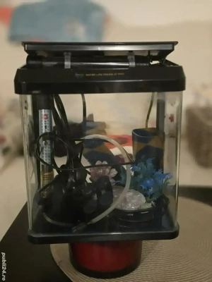 Acvariu Mic - imagine 2