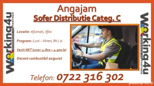 Sofer DIstributie Categoria C