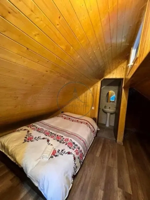 Cabana cu vedere la lac, 8 camere, 200 mp, 1800 mp teren, zona Colibita - imagine 8