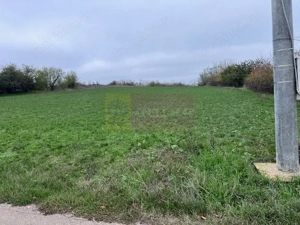 Teren Comana- strada Funieru. - imagine 2