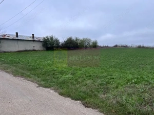 Teren Comana- strada Funieru. - imagine 4