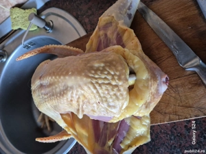 Gaini crescute in propria gospodărie  - imagine 4