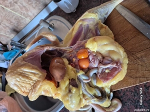 Gaini crescute in propria gospodărie  - imagine 5