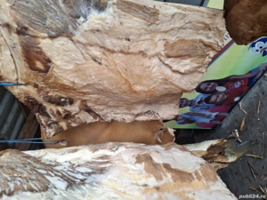 vând slănină proaspat afumata 