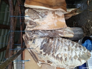 vând slănină proaspat afumata  - imagine 4