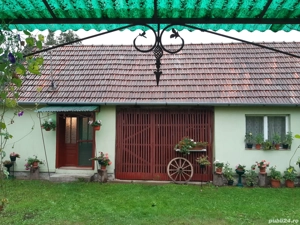 Casa de vanzare in sat Capalnas, comuna Birchis - imagine 3