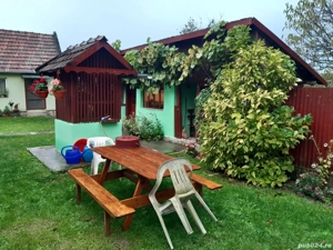 Casa de vanzare in sat Capalnas, comuna Birchis - imagine 7