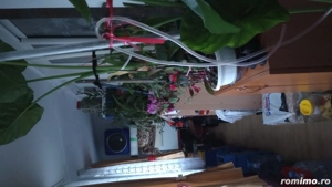 Vand Ap.cf.1 dec. 2 camere