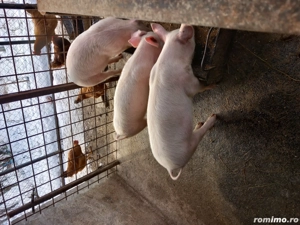 Ultimi 3 disponibili! - imagine 2