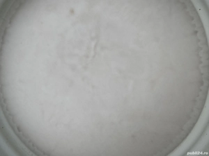 Untură și slănină de porc  - imagine 2