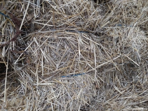 Vând baloți de paie  - imagine 2