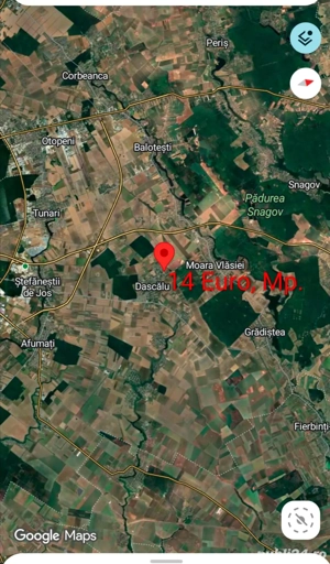 Proprietar   fără comision 4.500 mp, Dascalu, Ilfov