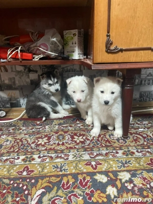 De Vânzare   - imagine 3