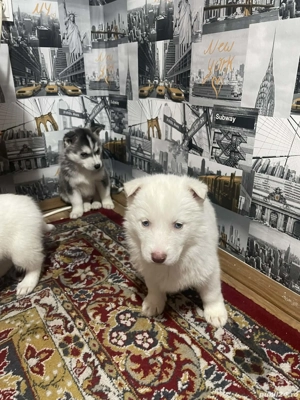 De Vânzare   - imagine 5