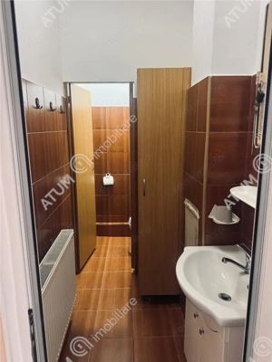 Spatiu comercial 100 mp utili 9 ml vitrina 2 intrari Valea Aurie Sibiu - imagine 5