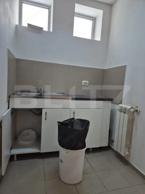 Spatiu comercial 123 mp, zona Gheorghe Doja - imagine 10