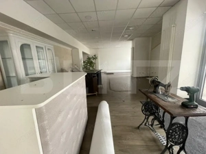 Spatiu comercial 123 mp, zona Gheorghe Doja - imagine 6