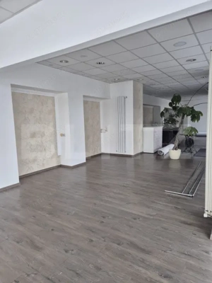 Spatiu comercial 123 mp, zona Gheorghe Doja - imagine 2