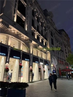 Calea Victoriei, studio cu curte interioara