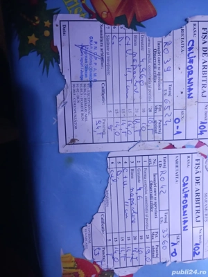 își caută o nouă casă californian  - imagine 2