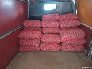 Cartofi samanta rosu sí albi