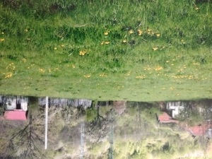 Vand teren in apropierea statiunilor montane Straja Lupeni si Pasul Vulcan - imagine 3