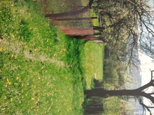 Vand teren in apropierea statiunilor montane Straja Lupeni si Pasul Vulcan - imagine 4