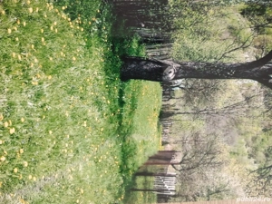 Vand teren in apropierea statiunilor montane Straja Lupeni si Pasul Vulcan - imagine 2