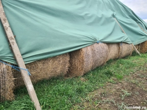 Vând baloți rotunzi de paie de grâu 