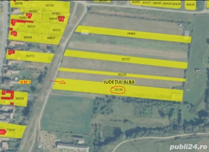 Teren 5.800 mp Petrești (Sebeș)   casă   investiție   închiriere