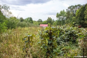 Vând TEREN și casă în satul Costeni, comuna Tismana, județul Gorj. - imagine 5