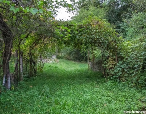 Vând TEREN și casă în satul Costeni, comuna Tismana, județul Gorj. - imagine 8