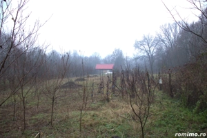 Vând TEREN și casă în satul Costeni, comuna Tismana, județul Gorj. - imagine 10