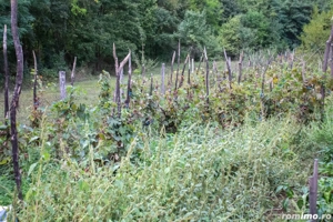 Vând TEREN și casă în satul Costeni, comuna Tismana, județul Gorj. - imagine 6