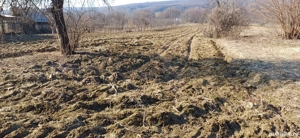 Teren agricol sat.Voroveni - imagine 8