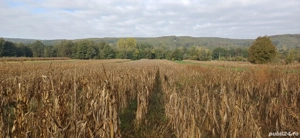 Teren agricol sat.Voroveni - imagine 6