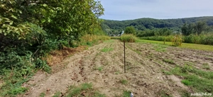 Teren agricol sat.Voroveni - imagine 2