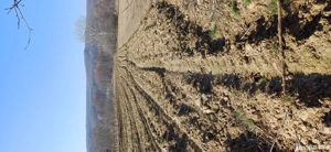 Teren agricol sat.Voroveni - imagine 7