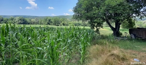 Teren agricol sat.Voroveni - imagine 9