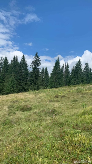 Teren intravilan de vanzare Vatra Dornei, Dorna Arini - imagine 8