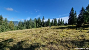 Teren intravilan de vanzare Vatra Dornei, Dorna Arini - imagine 10